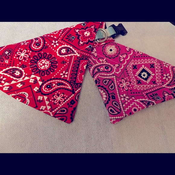 Paisley Doggy Bandana - Picture 3 of 4